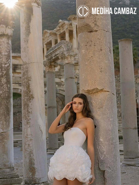 Model Resmi